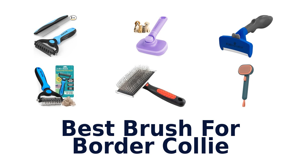 best brush for border collie