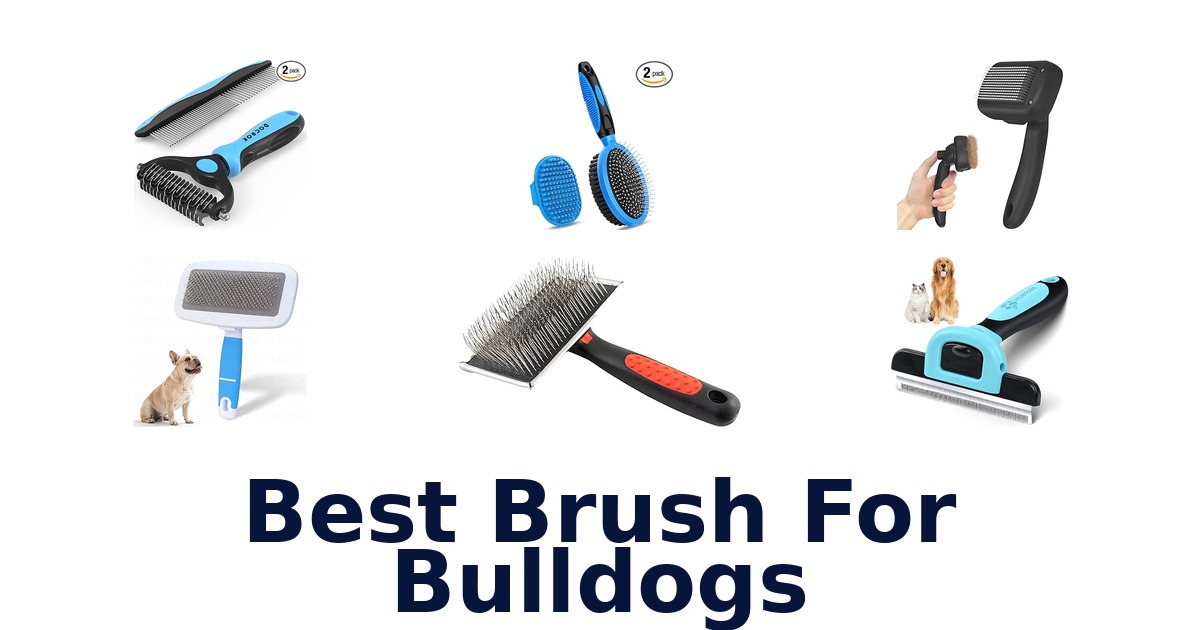 best brush for bulldogs