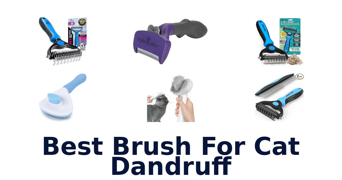 best brush for cat dandruff