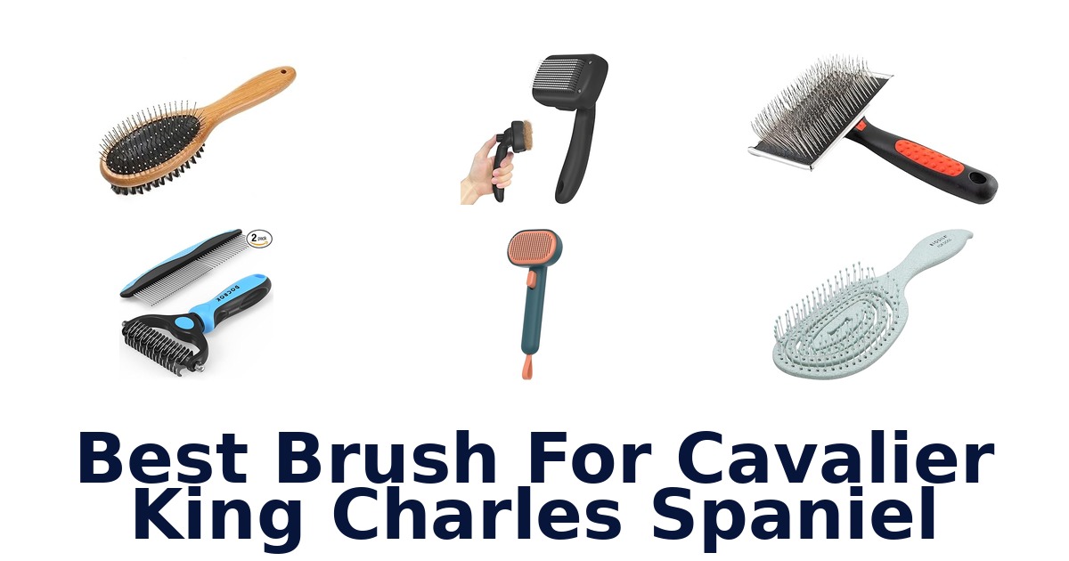 best brush for cavalier king charles spaniel