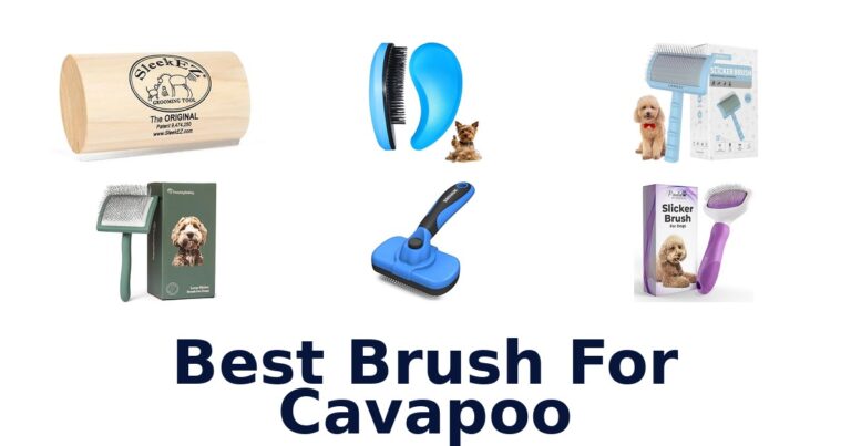 best brush for cavapoo