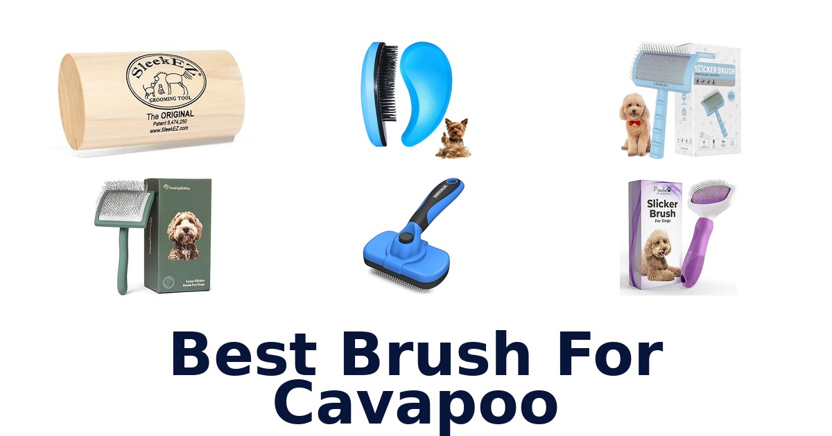 best brush for cavapoo