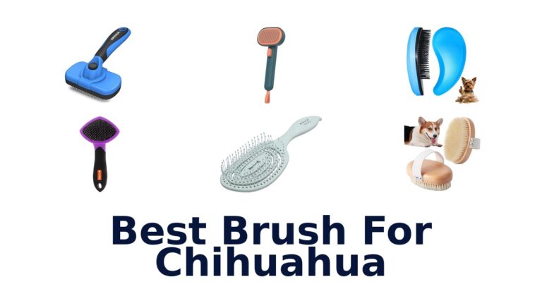 best brush for chihuahua