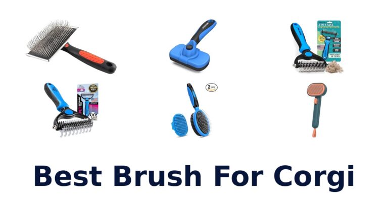 best brush for corgi