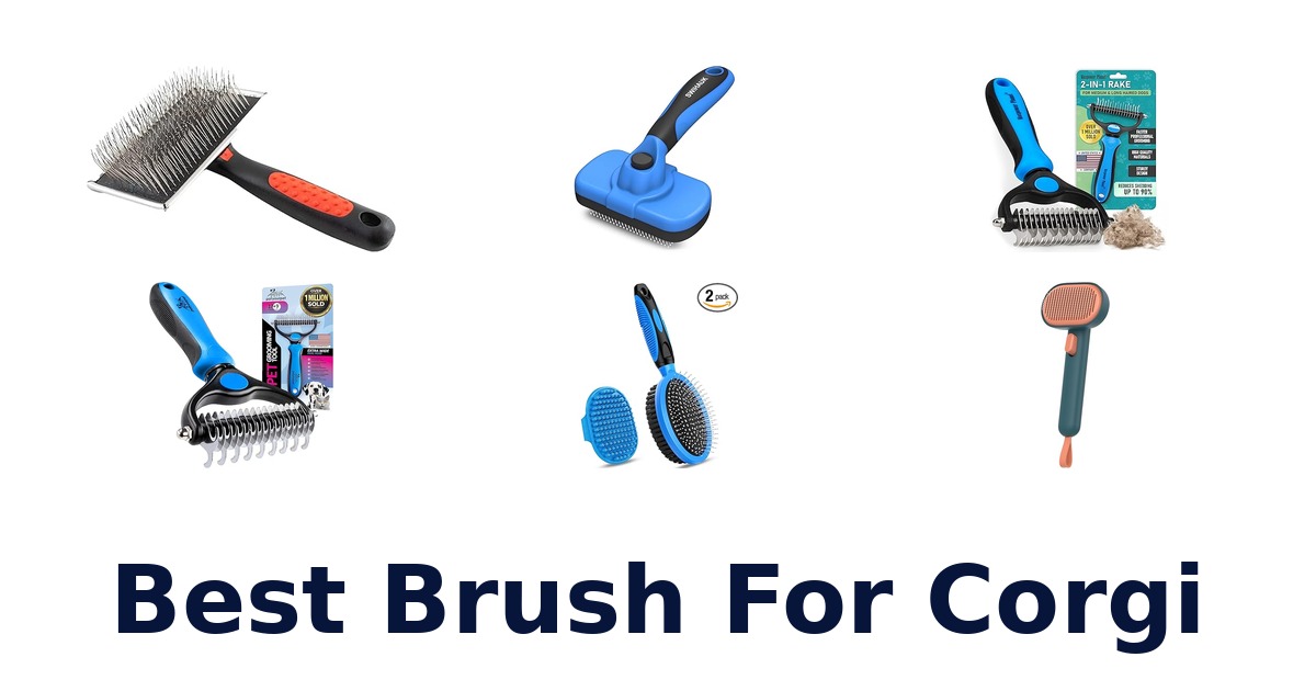 best brush for corgi
