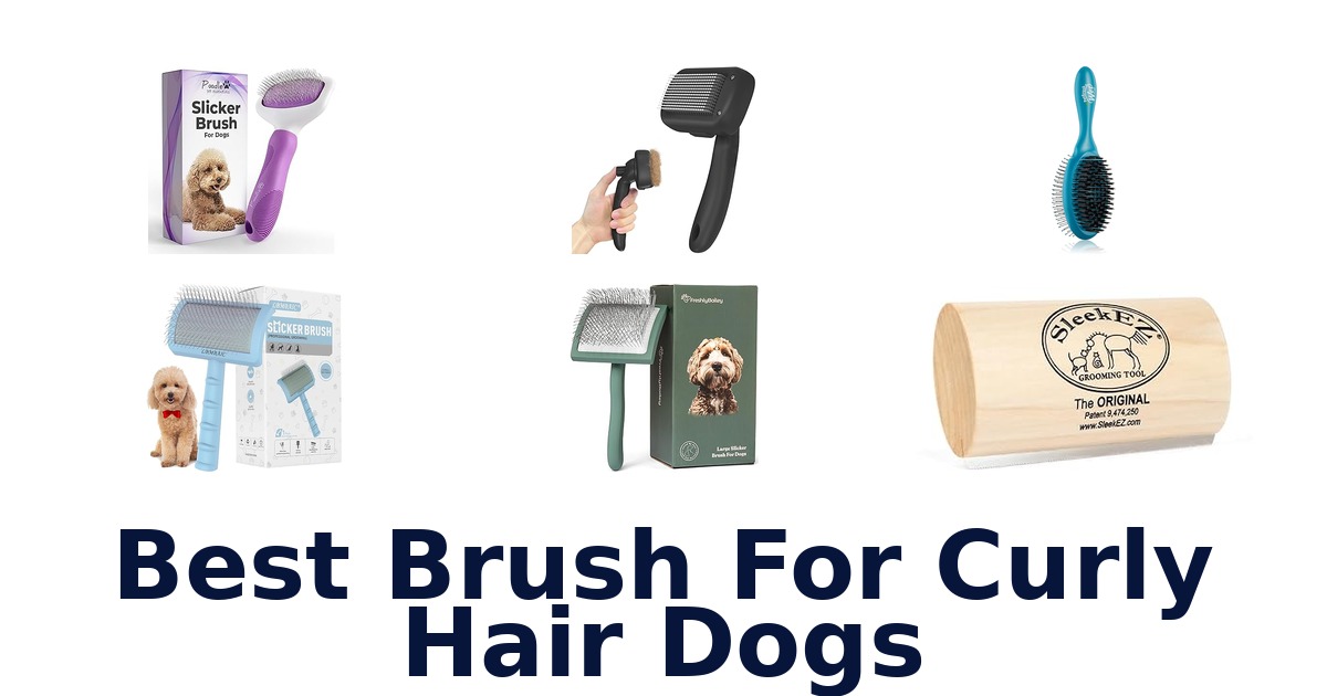 best brush for curly hair dogs