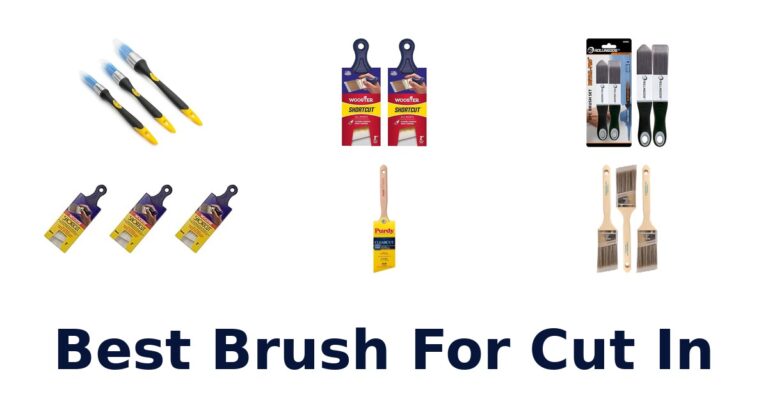 best brush for cut in
