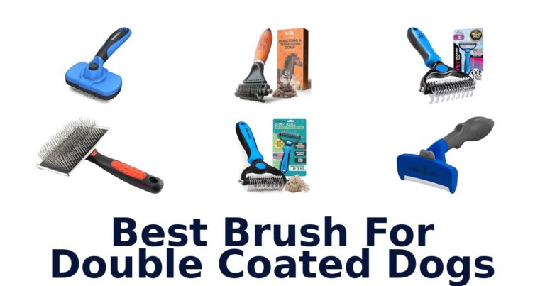 best brush for double coated dogs