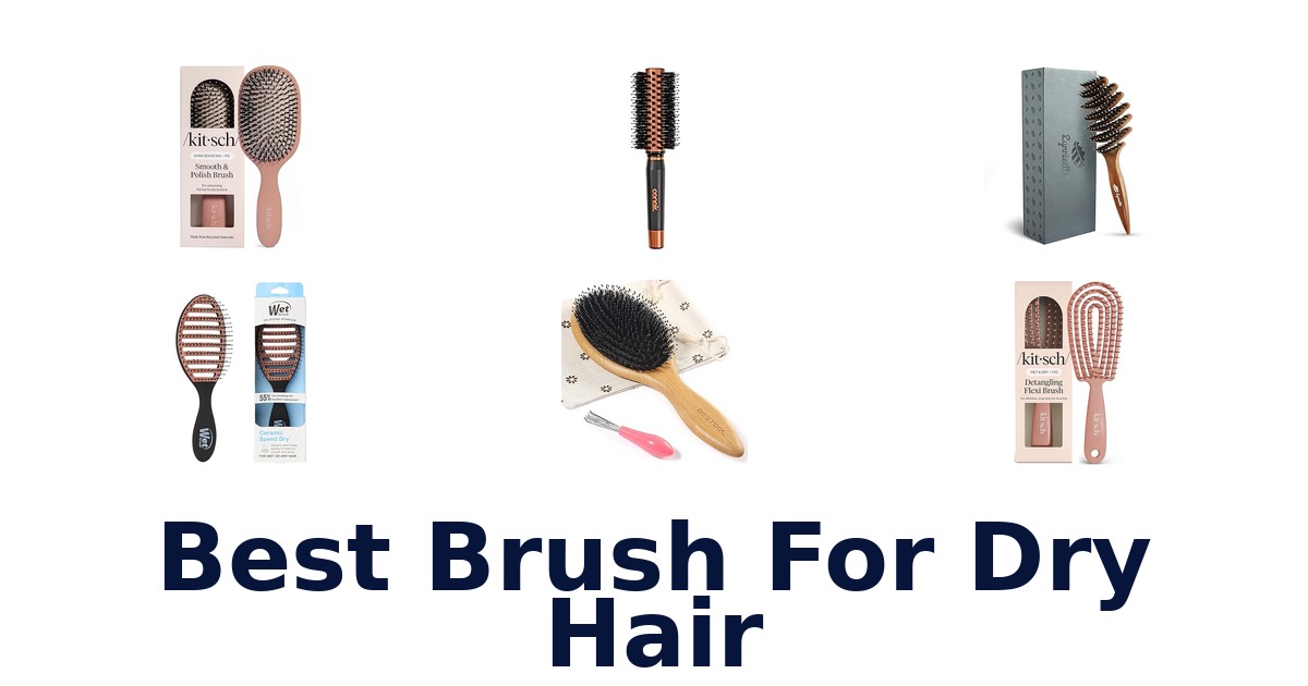 best brush for dry hair