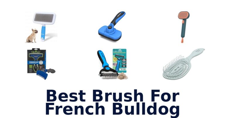 best brush for french bulldog