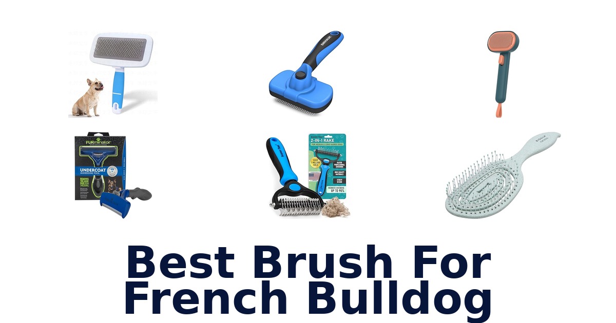 best brush for french bulldog
