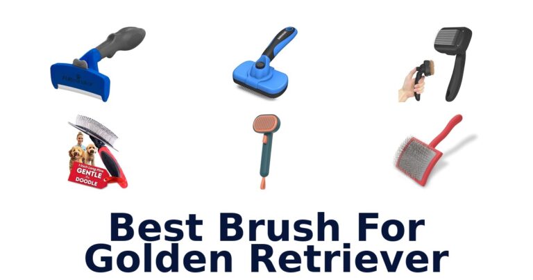 best brush for golden retriever