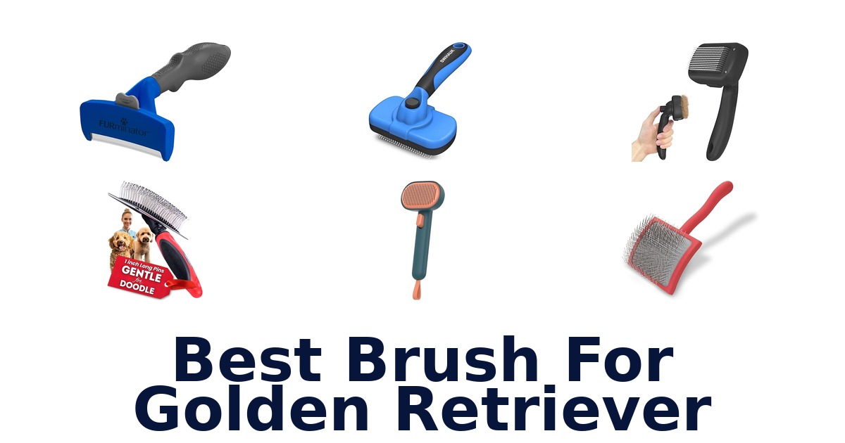 best brush for golden retriever