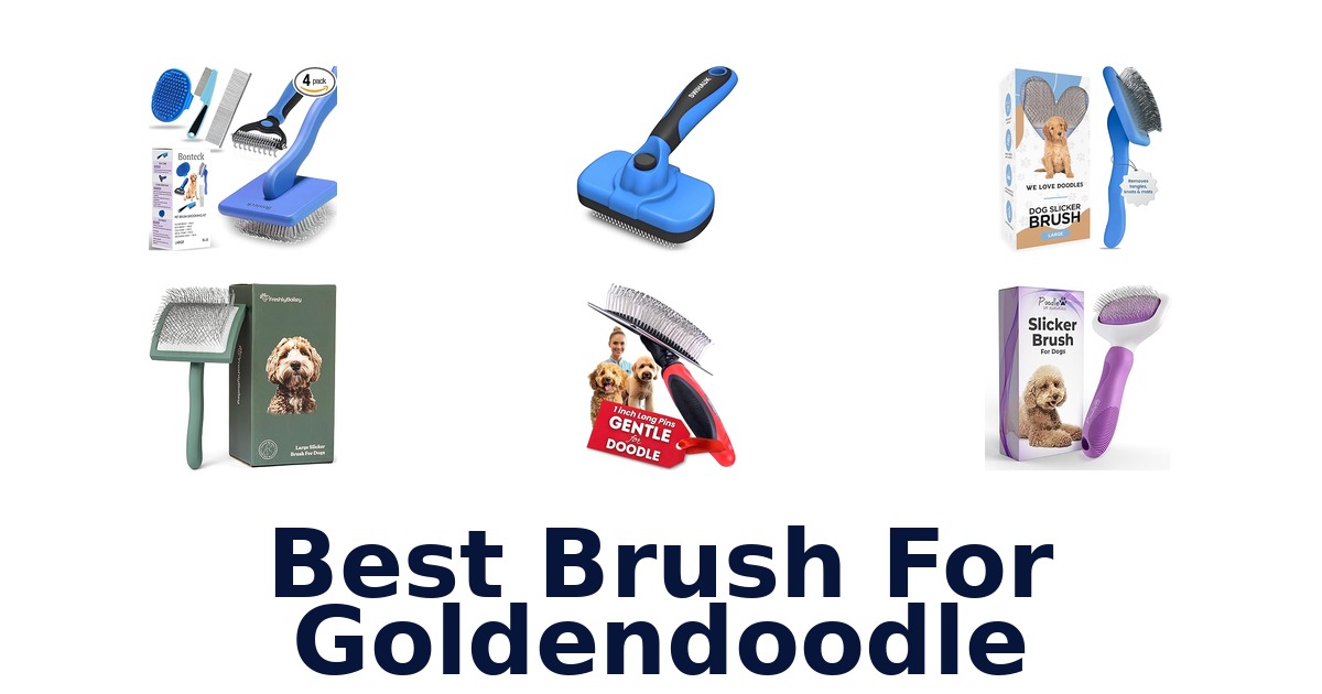best brush for goldendoodle