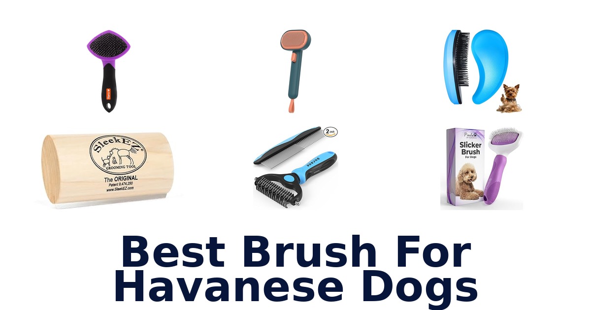 best brush for havanese dogs
