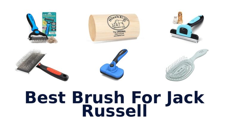 best brush for jack russell