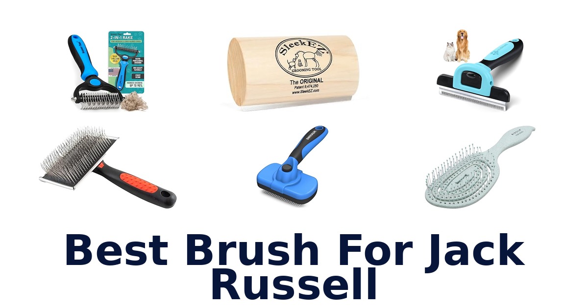best brush for jack russell