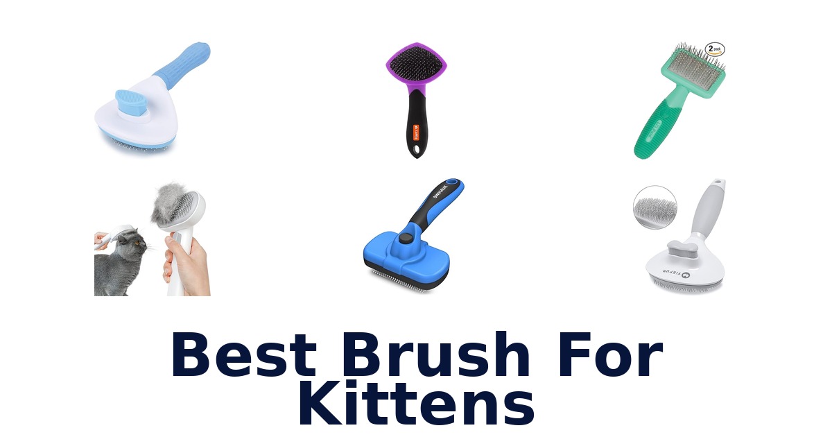 best brush for kittens