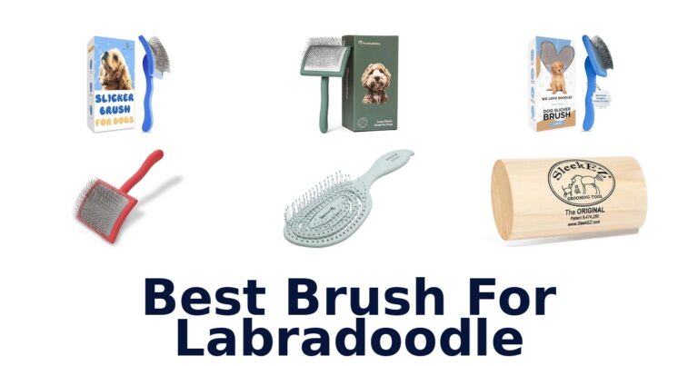 best brush for labradoodle