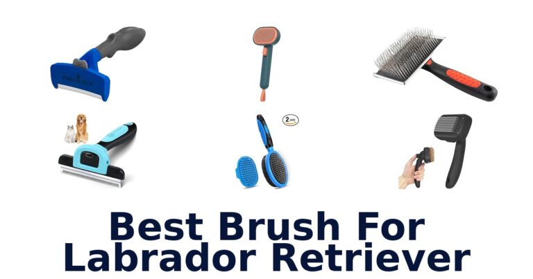 best brush for labrador retriever
