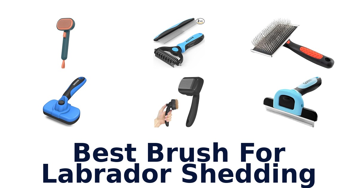 best brush for labrador shedding