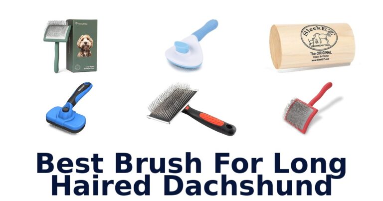 best brush for long haired dachshund