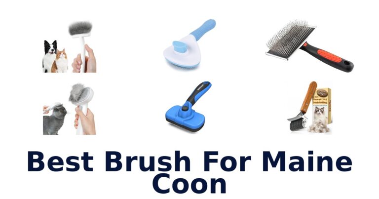 best brush for maine coon