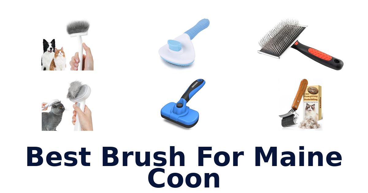 best brush for maine coon