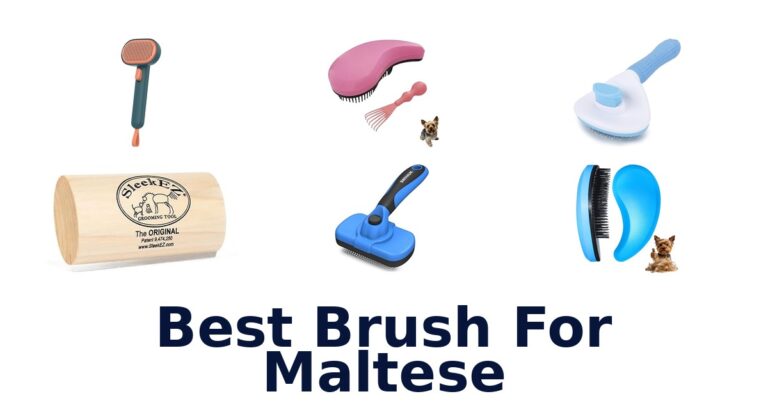 best brush for maltese