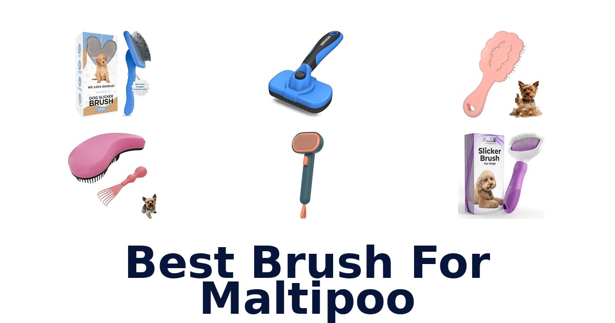 best brush for maltipoo