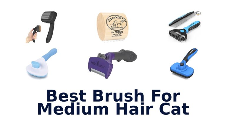 best brush for medium hair cat