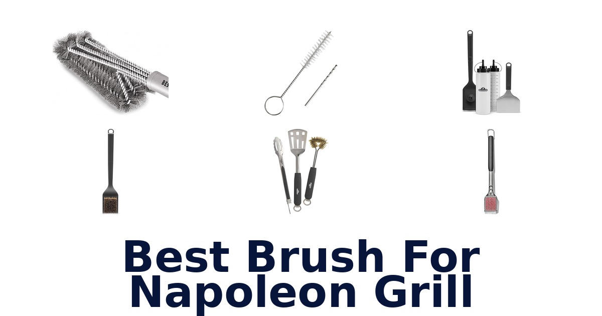 best brush for napoleon grill