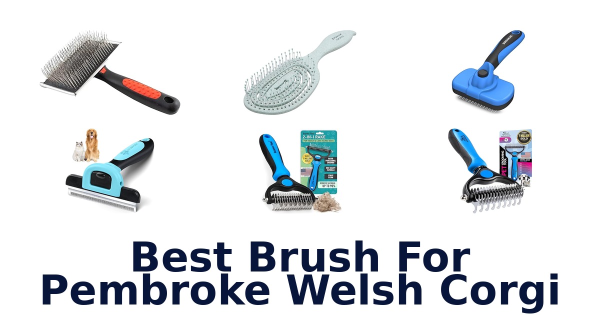 best brush for pembroke welsh corgi