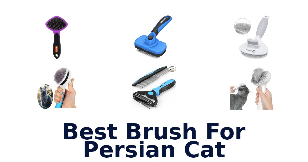 best brush for persian cat