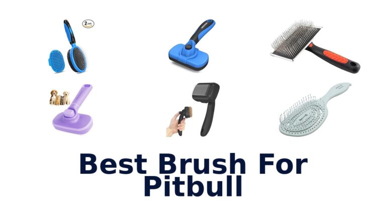 best brush for pitbull