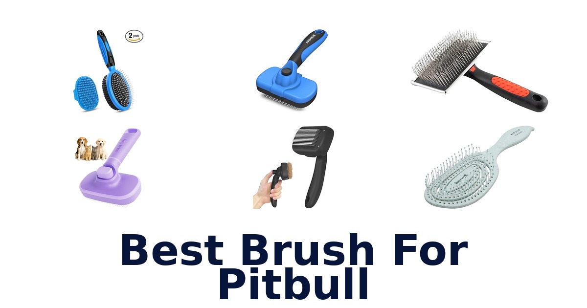 best brush for pitbull