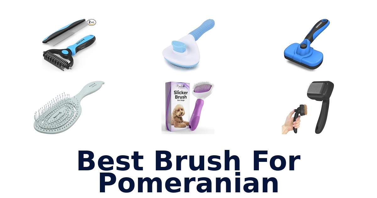 best brush for pomeranian