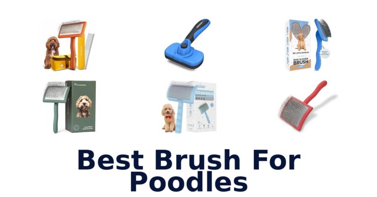best brush for poodles