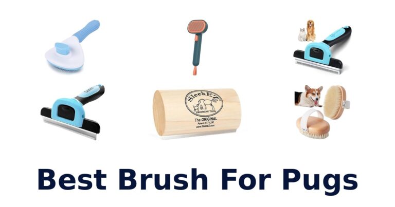 best brush for pugs