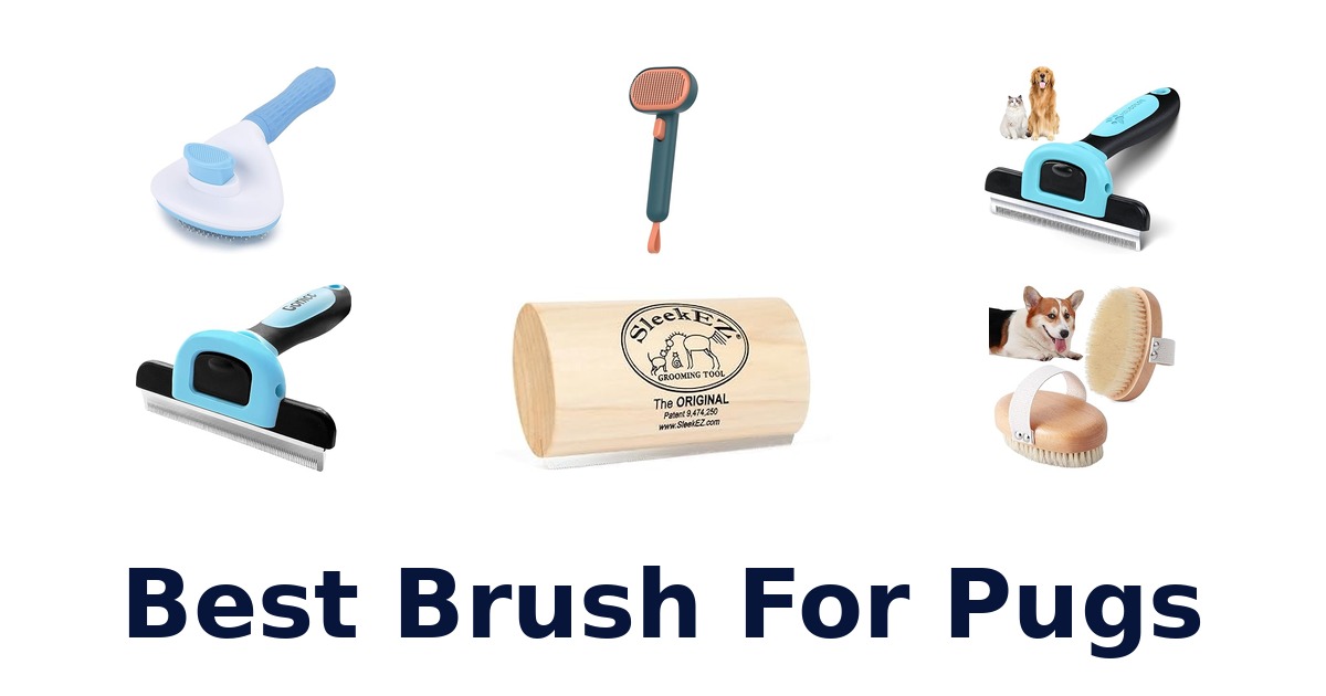 best brush for pugs