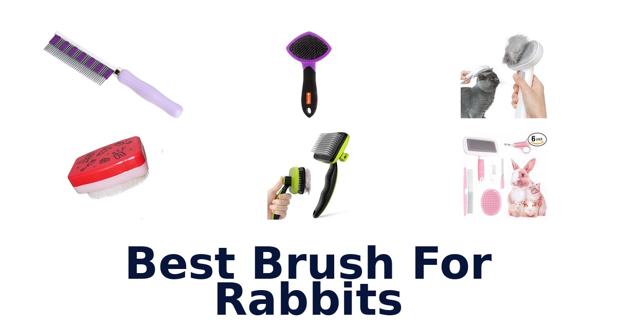 best brush for rabbits