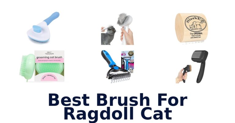 best brush for ragdoll cat