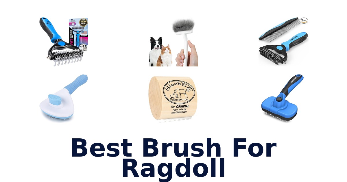 best brush for ragdoll
