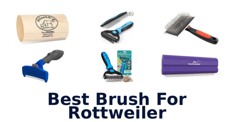 best brush for rottweiler