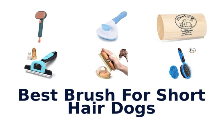 best brush for short hair dogs