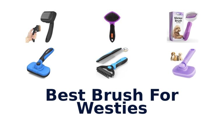 best brush for westies