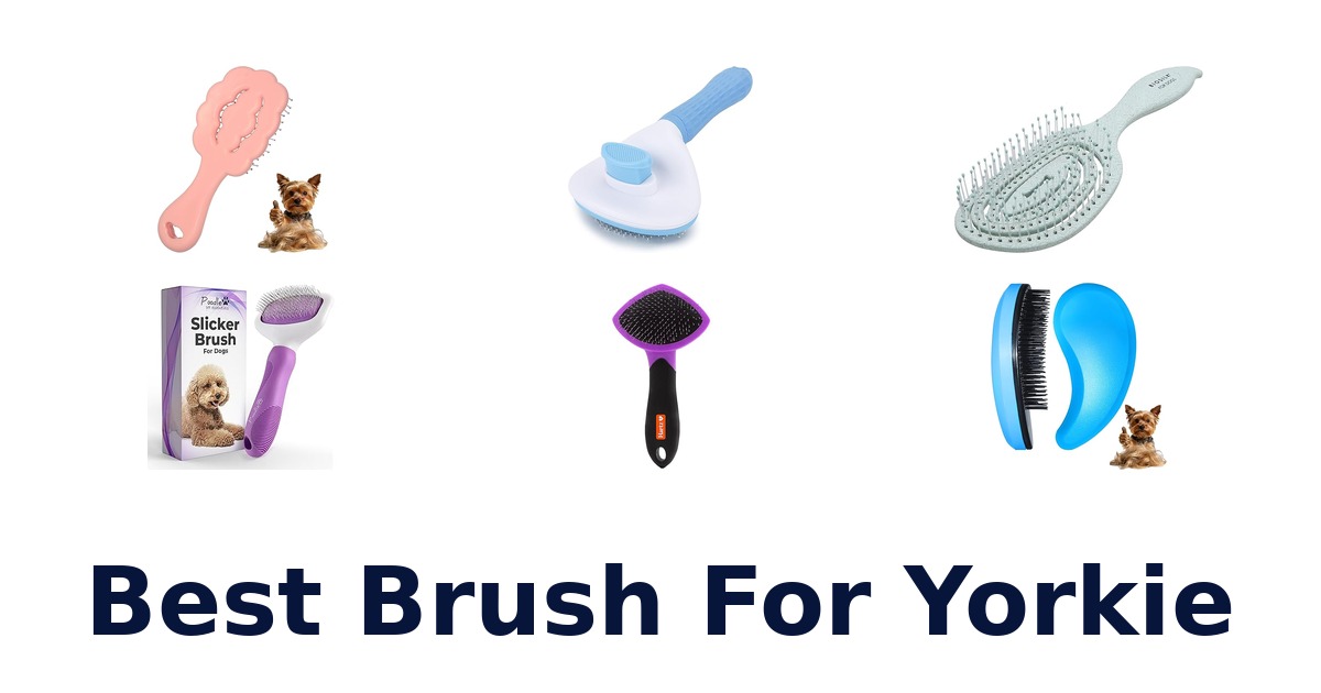 best brush for yorkie