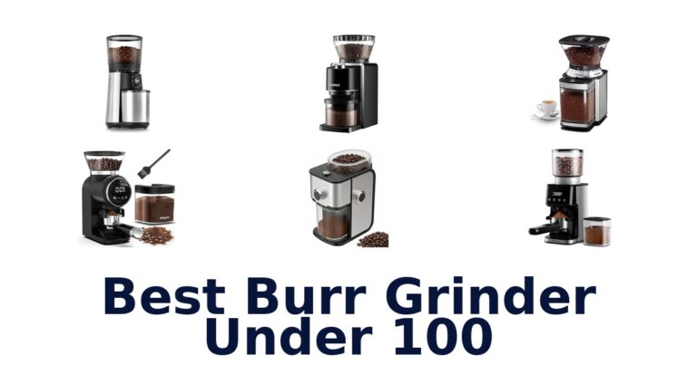 best burr grinder under 100