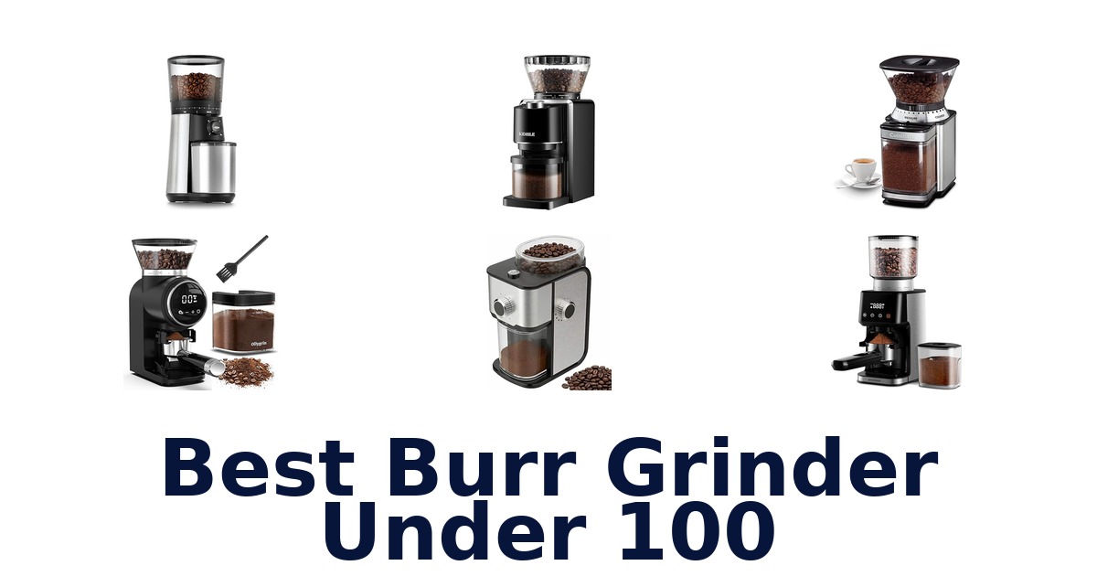 best burr grinder under 100