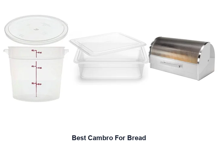 Best Cambro For Bread